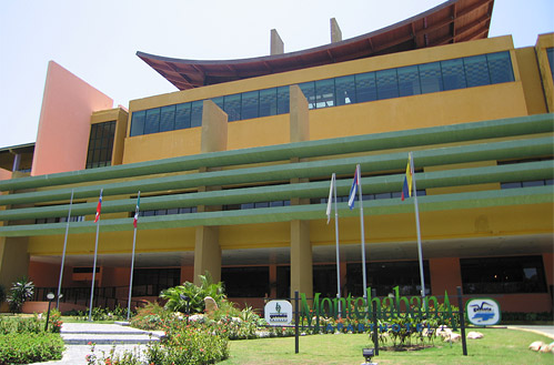 Starfish Montehabana Starfish Montehabana