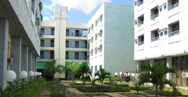 Islazul Tulipan Islazul Tulipan