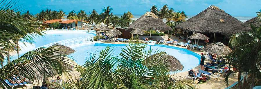 Starfish Cayo Guillermo Starfish Cayo Guillermo