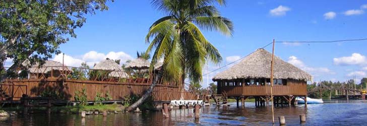 À la Péninsule de Zapata À la Péninsule de Zapata