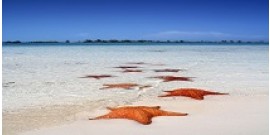 Excursion to Cayo Largo - Flight Included