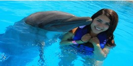 Swimming with Dolphins