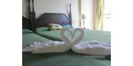 Farallón del Caribe - Single Room