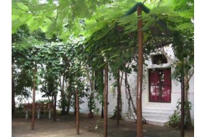 San Alejandro Garden