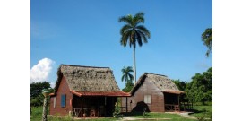 Finca Don Pedro - Chambre double