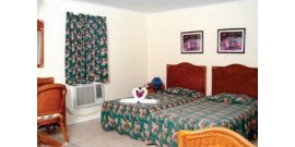 Finca Ma Dolores - Chambre double