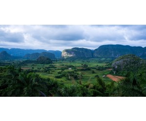 Excursion à Viñales