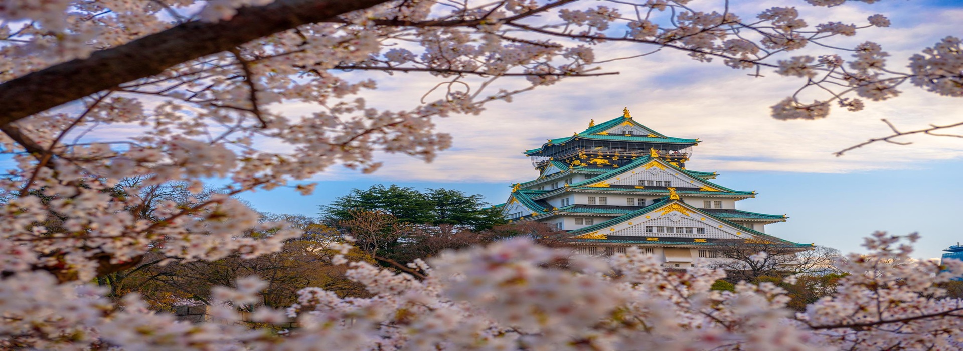 Tour ULTIMATE JAPAN EXPERIENCE main image