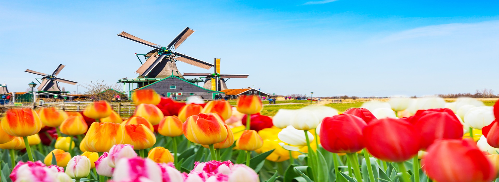 Tour BEST OF THE BENELUX main image